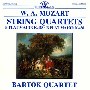 String Quartet No. 17 in B-Flat Major, K. 458 "Hunt":IV. Allegro assai