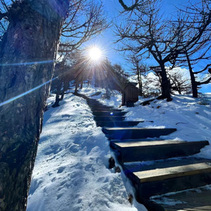 等风也等我 小阿枫