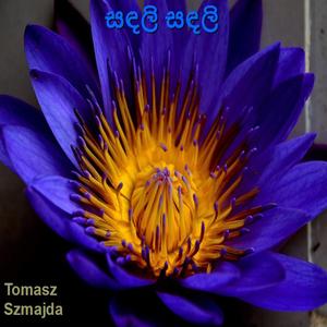 අලුත් අවුරුදු සිහිනය II