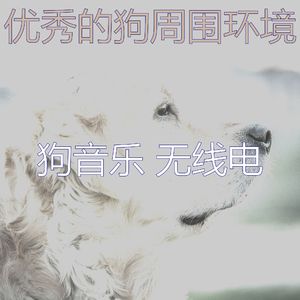 抚慰的小狗回忆