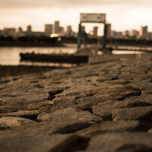 강변에서의 사색