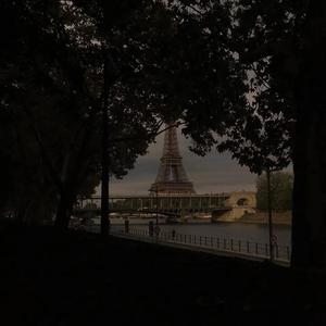 只需要你一句话