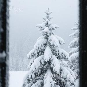 冬雪替你拥抱我