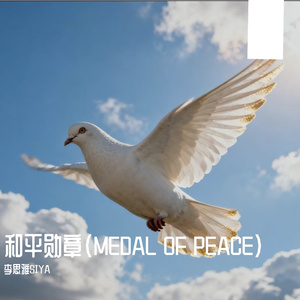 和平勋章（MEDAL OF PEACE）