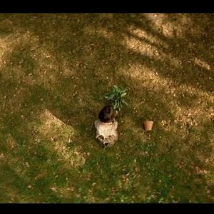 尽全力奔赴向你