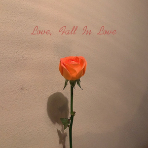 Love, Fall In Love