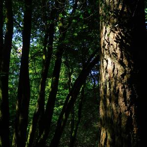 ngihleli naye ✧ dark ambience void