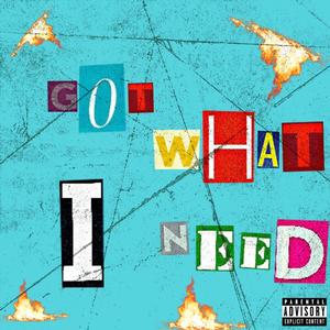 Got What I Need