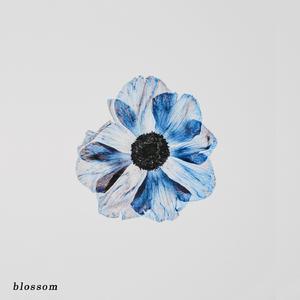Blossom