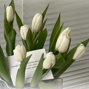 许愿给雨听Aurora - 未知伴侣