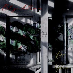 但你没有爱过我