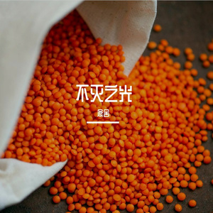 风起之时 （When the Wind Rises）