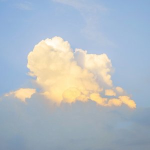 ［FREE］fight for the DREAM