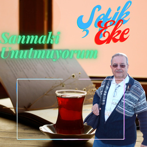 Sanmaki Unutmuyorum