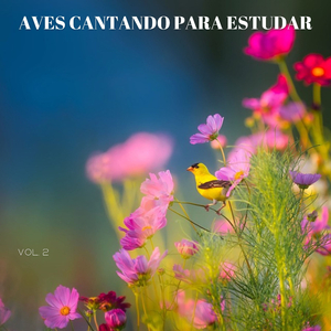 Sons Da Natureza Do Lago