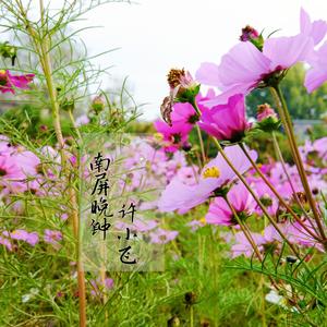 南屏晚钟（留声机）（Cover 费玉清）