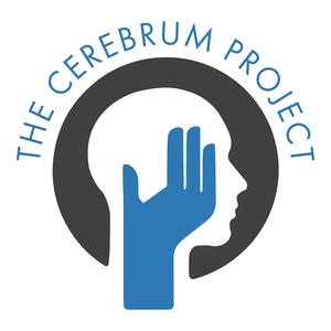 Cerebrum