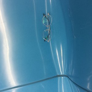 相聚万年树_六羽言木