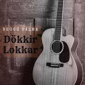 Dökkir Lokkar