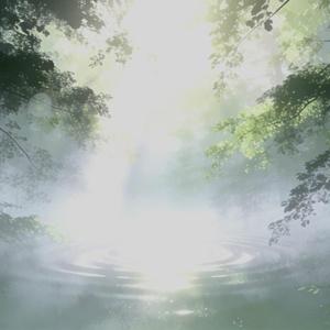 Roots Beneath the Quiet