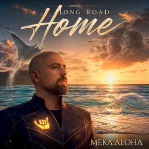 LONG ROAD HOME