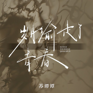 岁月偷走了青春