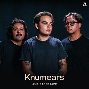 Introduction (Audiotree Live Verison)