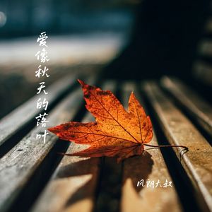 爱像秋天的落叶