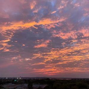 总有一天你会出现在我身边