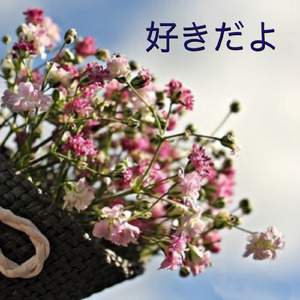 好きだよ（Remix）