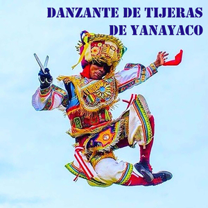 TOROSCHA HUAYCAHUACHINA