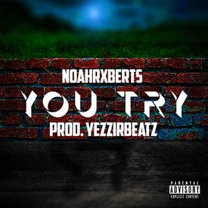 You Try