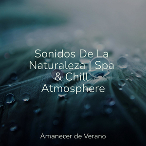 Río Místico Murmurante