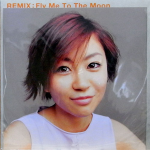 Fly Me To The Moon (Mike Brown Remix)