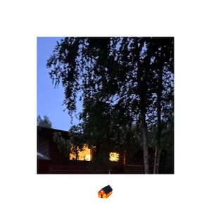 Cabin fever (distant remix)