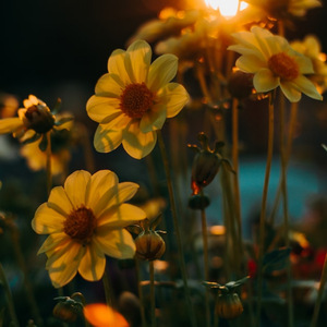 Ajari Aku Melupakan Mu