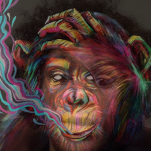 HEMPTY