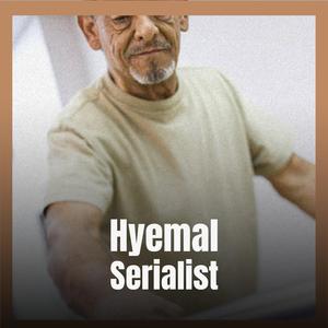 Insignificant Songstress