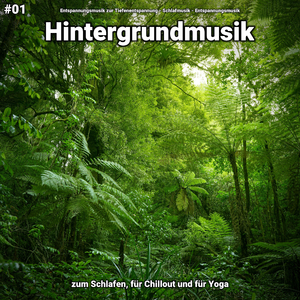 Eindrücke im Sommer