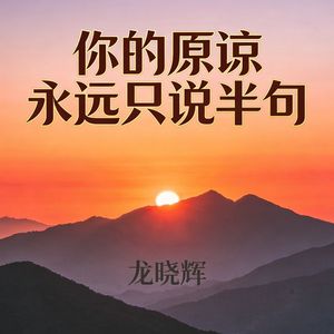 你的原谅永远只说半句(伴奏)
