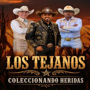 Coleccionando Heridas