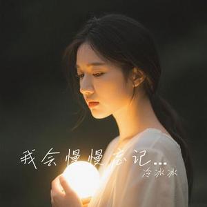 我会慢慢忘记你  (Remix)