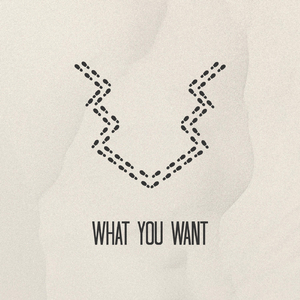 What You Want