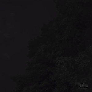 Too High (feat. Voltaire II)