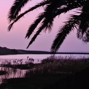 Αγάπη και μίσος