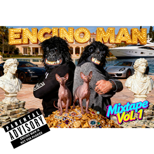 The Recognitioficationing