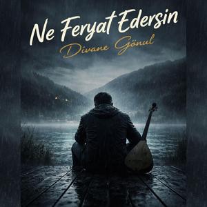 Ne feryat edersin divane gönül