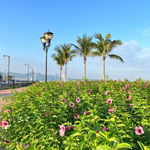 回归爱你的起点