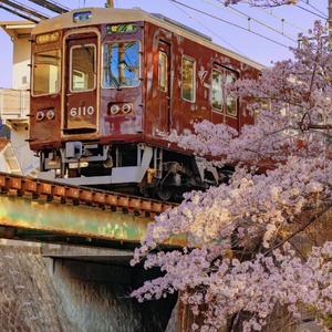 三月樱花 纯钢琴.wav