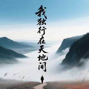 我独行在天地间